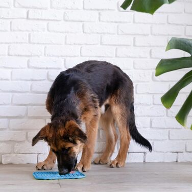 М'яка підкладка під протікання блакитного кольору + шпатель - 20 x 20 см