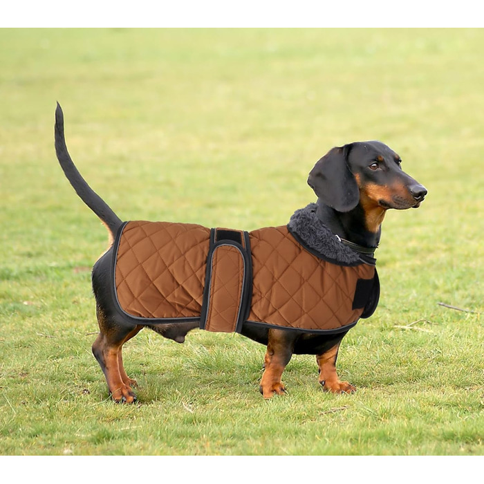 MOREZI Зимовий теплий накид для собак на джек-рассел тер'єр - водонепроникний пуловер з вовняною підкладкою та регульованими ремінцями, теплий зимовий накид для маленьких собак на вулицю, колір зелений, розмір L (довжина спини: 47-50 см), колір коричневий