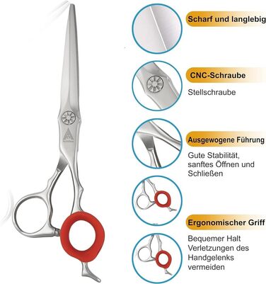 Набір професійних ножиць для волосся Titan 6 дюймів (1 шт.) - ножиці та ножиці для розрідження, сталь Японія