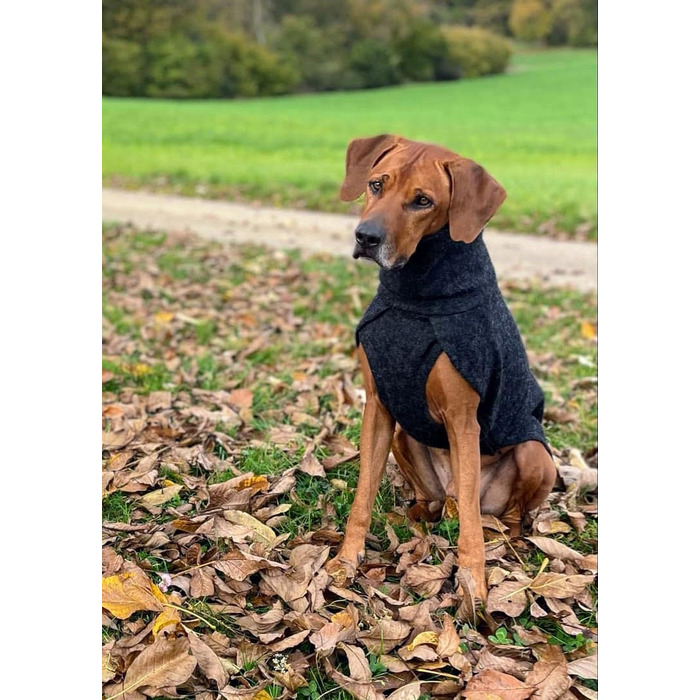 Теплий зимовий одяг для собак EDEL&SCHNELL: вовняна куртка з довгим коміром та світловідбиваючими елементами (65-70 см)