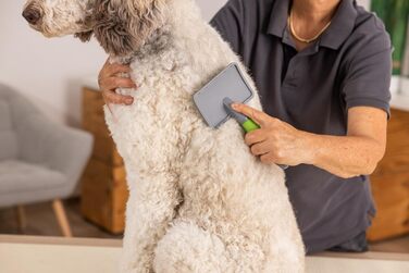 Вищипувальна щітка Wahl для собак і котів - професійний інструмент грумінгу, зелена ручка