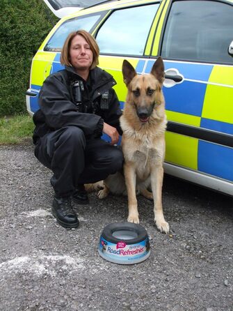 Road Refresher Large Green - освіжувач повітря для тварин Prestige Pet Products (1 шт.)