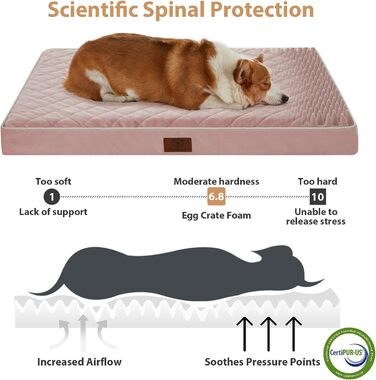 Ортопедичне велике собаче ліжко WNPETHOME, водонепроникне, рожеве, 61 x 43 x 4 см