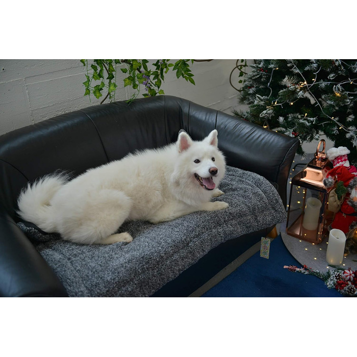 Підстилка для собак та котів Raikou з плюшевою подушкою, флісова, зручна та нековзна (100x70 см)