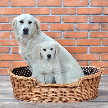 Корзина для собак з лози e-wicker24 502-60, брунатний колір, 60 x 43 x 19 см (80 x 60 x 26 см), натуральний дизайн