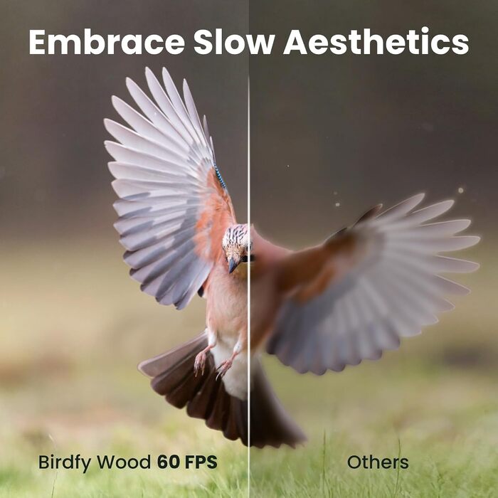Розумна годівниця для птахів Birdfy з камерою 1080P, сонячною панеллю та ШІ-розпізнаванням 6000+ видів птахів, водонепроникна дерев'яна годівниця з App Live-переглядом