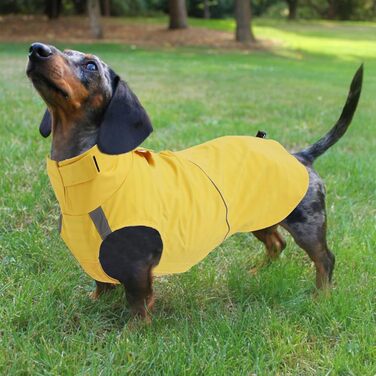 Водонепроникний дощовик для собак Morezi з світловідбиваючими смугами та захистом живота - легко одягається (на липучках) - для такс та коргі - жовтий - XL (Обхват грудей: 42-45 см)