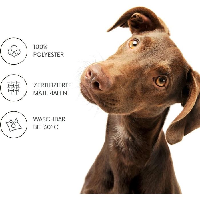 Килимок для собак Leo 60x100 см, кошик для собак з знімним поліестерним покриттям, м'який наповнювач, миється, 100x60x5 см, килимок для собак, лежанка для собак, ліжко для цуценят, антрацит