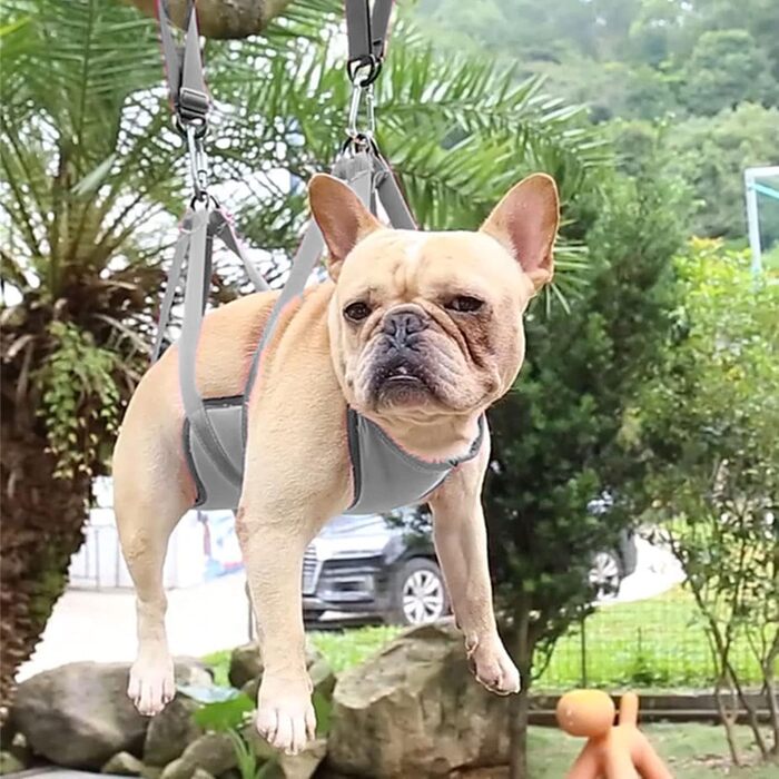 Набір гамаків для домашніх тварин, дихаючий матеріал, запобігає натиранню, регульовані ремені, шлейка для собак, повід для маленьких тварин (L), сірий L