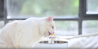 Автонапіيвалка-фонтан Renew Force, пластик, 2400 мл