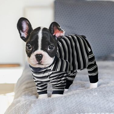 Захисний одяг для собак після операції: повний костюм для собак, що відновлюються (дівчатка, хлопчики), чорний