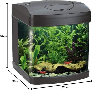 Акваріум Wave Amtra Laguna XCUBE 26 LED чорний, комплект з LED освітленням і фільтром, 26 л, 31x32x37 см
