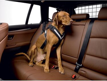 Пояс безпеки для собак KLEINMETALL Allafe, розмір L