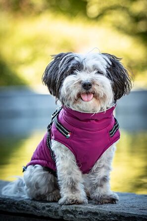 Зимова куртка CHIARA MAX, розмір M, туркіс (фіолетовий), з флісовою підкладкою, регульована довжина, для собак