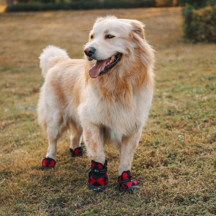 Взуття для собак Arblina Outdoor: водонепроникне, з регульованою застібкою, захист подушечок лап, для малих, середніх та великих собак