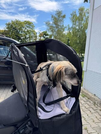 Мотоциклетна сумка для собак і котів PETBAG XS (2-5 кг), водонепроникна, з вентиляцією, для багажника або сидіння, з кордури