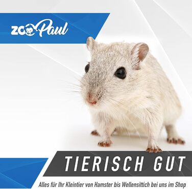 Клітка для гризунів Interzoo REX 3 бежева з дерев'яним оснащенням, багатоярусна для хом'яків