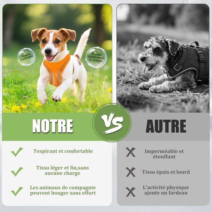 Нашийник для котів Qianruida з повідком, регульований, зручний, дихаючий, світловідбиваючий (Помаранчевий, XS)