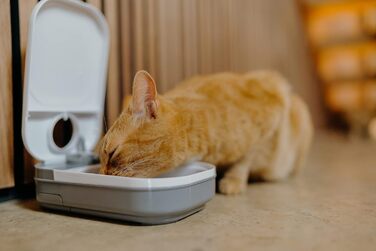 Cat Mate C100 автоматична годівниця з таймером для котів і малих собак, для вологого та сухого корму, до 400 г, біла
