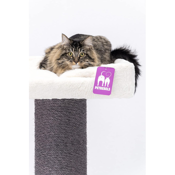 Дряпак для великих котів Petrebels Maine Coon 117 см, преміум-якість, стовпи 20 см, білий