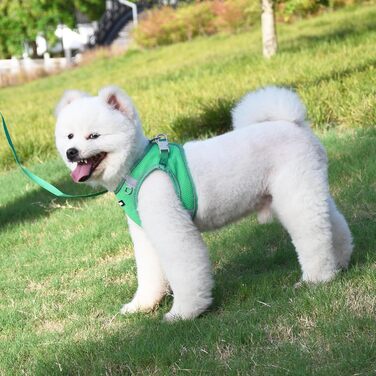 Нашийник та поводок для цуценят, комплект для прогулянок, нашийник-трансформер, м'який, дихаючий, аксесуари для домашніх тварин, світловідбиваючі смуги, для дуже маленьких собак та котів, XXXS (Обхват грудей: 8.5 - 10 см), Зелений, XXXS