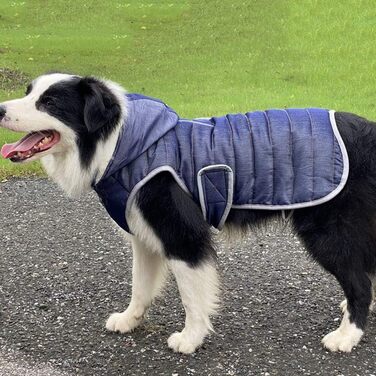 Теплий зимовий одяг для собак - тепла куртка в клітинку для собак, одяг для собак, жилет з капюшоном, знімний для маленьких, середніх та великих собак (2XL: Обхват грудей (68-85 см), Джинсовий блакитний)