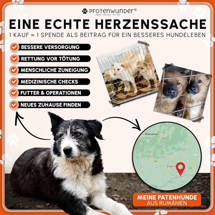 Клітка для собак Pfotenwunder® для дому, сітчаста переносна коробка для собак у 3 розмірах, 2 двері + 1 кришка, 1 посібник з навчання, переносна клітка для собак, авто клітка для собак з дротяною сіткою (107*71*77,5 см) - середній розмір