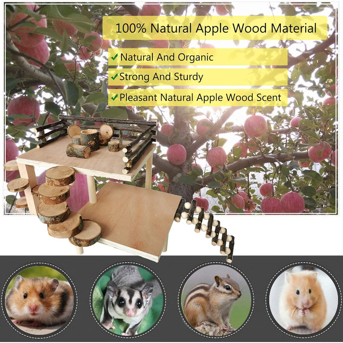 Іграшки для хом'яків, морських свинок та кроликів: аксесуари та розваги для гри