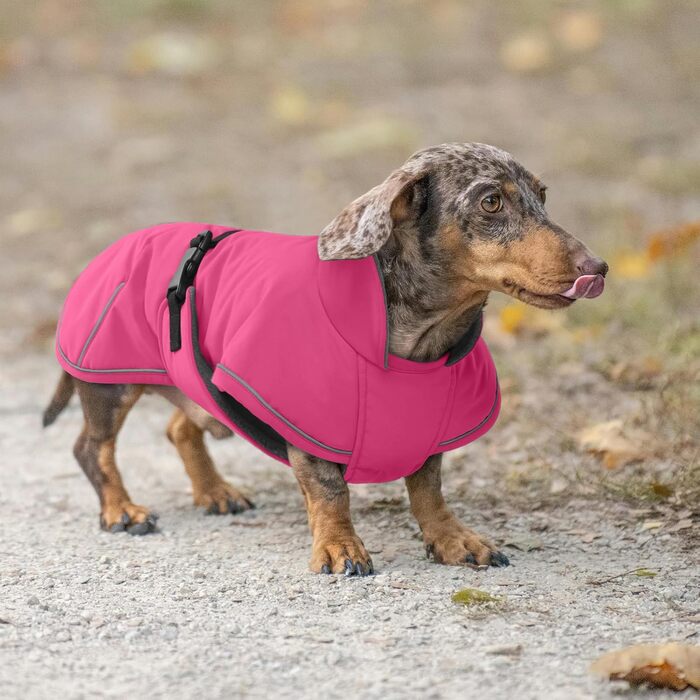 Зимовий теплий дощовик для собак Такса (M), рожевий. Захист від вітру та вологи, з отвором для повідка. Тепла куртка для собак великих порід.