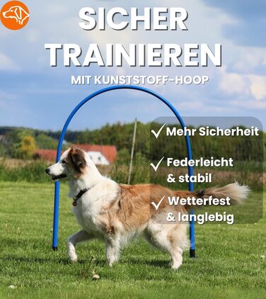SPORTIKEL24 Superhund Hoopers Hoop – іграшка для аджиліті собак, кільця для хоперс, пластик, блакитна основа з кольоровими арками, VDH-сертифікована, гнучка, стійка до погодних умов (блакитний/жовтий)