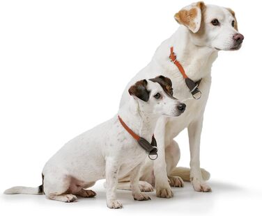 HUNTER Dressurhalsung FREESTYLE, чорний, міцний ошейник для тренувань та повсякденного використання, розмір L