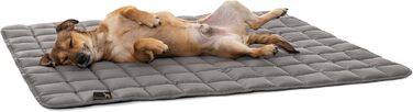 Pointer Лежак для собак 80x60 см, м'який та міцний, машинне прання до 95°C, універсальний килимок для підлоги або захисту дивану, підходить для вулиці, світло-сірий