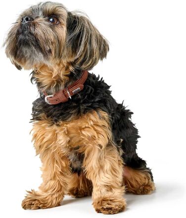 Нашийник для собак HUNTER SOHO MINI, колір: Cognac, шкіра, м'який, для маленьких собак та цуценят, Made in Germany, розмір 32