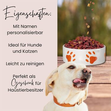 Персоналізована миска для собак GRAZDesign з фото та іменем, керамічна, 1л, 1000мл, подарунок для власника собаки