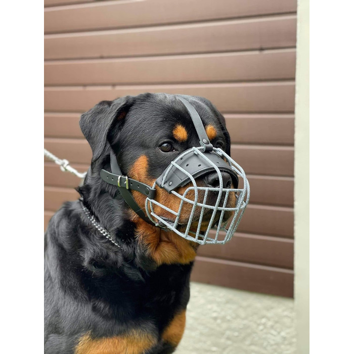 Міцний нашийник-маска для собак з металевої сітки, Rottweiler, Mastiff, Golden Retriever (R2, сріблястий/чорна шкіра)