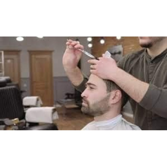 Професійні ножиці для волосся Focus World 6,5 дюймів (FW--01) - Японська сталь, срібло