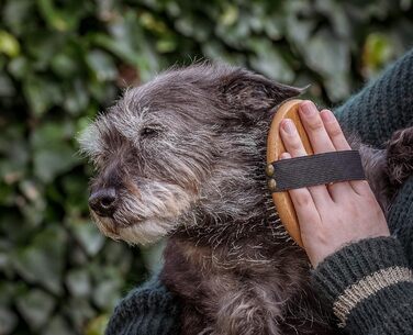 Щітка для грумінгу тварин Mikki 6280002 з бамбука з кульковими насадками, для собак та котів, 95 г