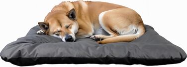 Гіркий корзинка для собак Kistenkolli Altes Land Winston XL з дерева 100x60x25 см з подушкою (сіра)