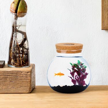 Скляна ваза-акваріум Balacoo для міні-ландшафту, тераріуму, рибок, з підсвічуванням, 14x13x13 см, біла