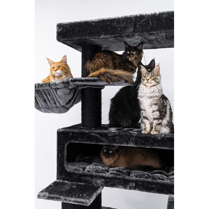 Дерев'яний кігтеточка для великих котів Petrebels Maine Coon XXL Lookout 198, надміцний, стовпи 15 см Ø, 100x60x198 см, чорний