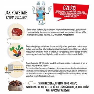 Преміум корм для собак Dolina Noteci з тріскою, 9 кг