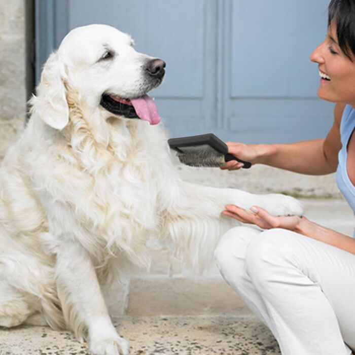 Гребінець для собак від Haustierkamm: видаляє ковтуни та вичісує шерсть середніх та довгошерстих собак