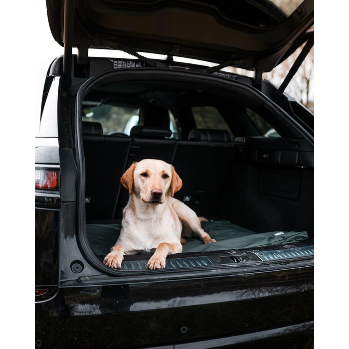 Лежанка для собак та цуценят Danish Design County Green, водонепроникна, розмір M, 86x69x3 см