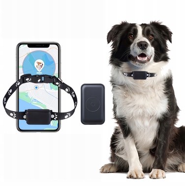 GPS-трекер для собак та котів: міні-нашийник для тварин без абонплати з додатком