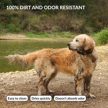 Водонепроникний нашийник для собак CollarDirect: регульований, силікон/пластик, антибактеріальний, легко миється, безпечна застібка. Підходить для собак маленьких, середніх та великих порід (XL (45-66 см), L (35-45 см), фіолетовий)