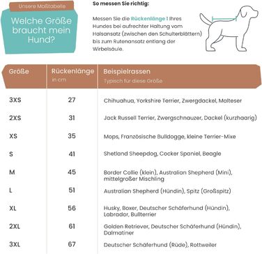 Водонепроможний та вітрозахисний софтшел-дощовик для собак, світло-блакитний, розмір M