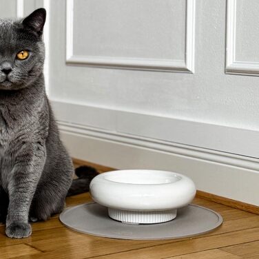 Котло propositionsний набір LucyBalu® MYCO: миска для корму та води для котів з кераміки | Пряма миска для котів | Біла миска для води та корму | Якісний котячий набір