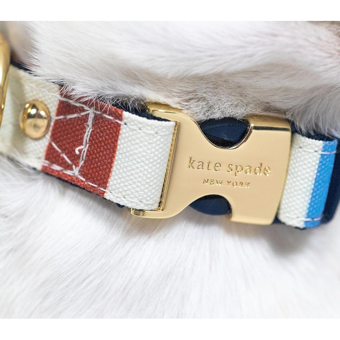 Стильний нашийник для собак Kate Spade New York, регульований, 39,4-61 см, золота металева пряжка, для середніх собак, унісекс
