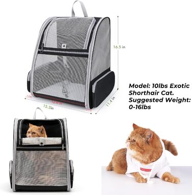 Рюкзак для собак та котів Lollimeow: дихаюча сітка, схвалено авіаперевізниками, для подорожей та прогулянок