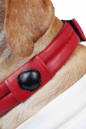 Костюм для собак та котів Space Dog на Хелловін, XXL, білий/розкішний сад